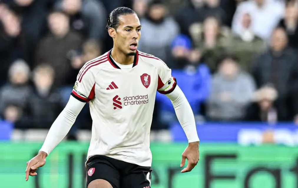 Dijk